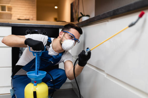 Best Emergency Pest Control  in St Augustine Shores, FL