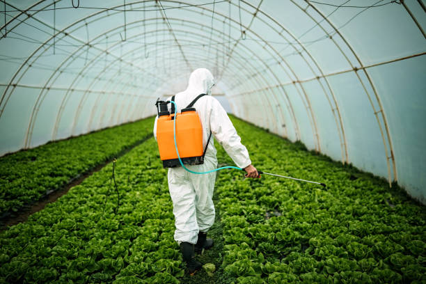 Best Affordable Pest Control Services  in St Augustine Shores, FL