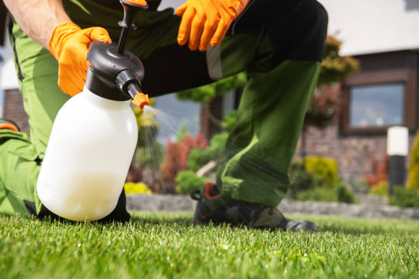 Best Best Pest Control Companies  in St Augustine Shores, FL