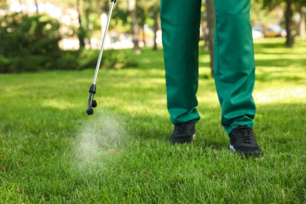 Best Pest Inspection Near Me  in St Augustine Shores, FL
