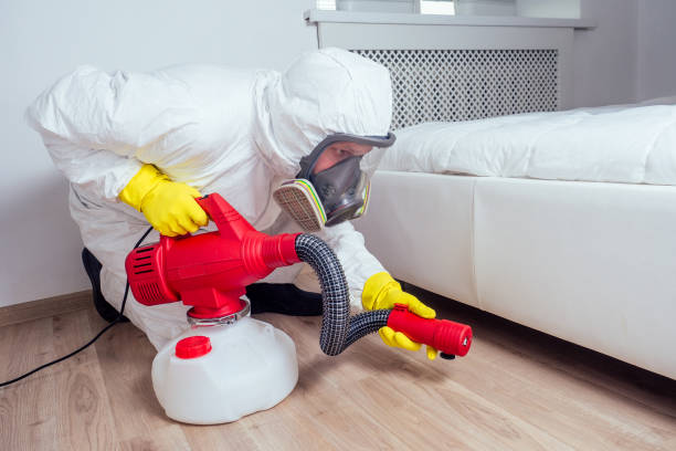 Best Mosquito Control Services  in St Augustine Shores, FL