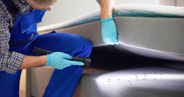 Best Residential Pest Control  in St Augustine Shores, FL