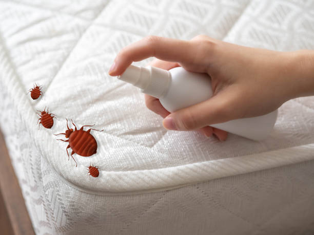 Best Pest Prevention Services  in St Augustine Shores, FL