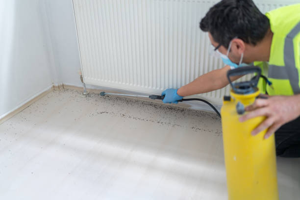 Best Local Pest Control Services  in St Augustine Shores, FL